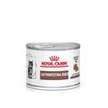 24x195g Ultra Soft Mousse Kitten Gastrointestinal Cat Veterinary Royal Canin Wet Cat Food