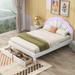 Queen Size Upholstered Platform Bed with Seashell Shaped Headboard, LED and 2 Drawers