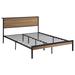 Coaster Furniture Ricky Twin Platform Bed