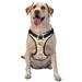Junzan Cute Bee Gnome Pattern Dog Harness - Lightweight Soft Adjustable Small Harness And Leash Set-Small
