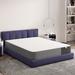 Twin Medium 10" Memory Foam Mattress - Alwyn Home Northstate | 75 H x 39 W 10 D in Wayfair C0EB41E3FEDD4FD7A710030505B1515E