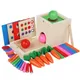 Kit de Jeu Montessori en Bois 6 en 1 Boîte de Jeu avec Boîte à Pièces Forme de Récolte de