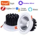 Tuya Smart Zigbee Hue Spot Led Downlight Dimmable Alice Alexa Home Assistant Zigbee2mqtt Recessed