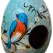 Novica Handmade Daybreak Garden Dried Mate Gourd Birdhouse