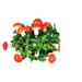 Pompotops Easter Lights Decorations 9.84FT 20LED Easter Mushrooms Green Leaves Cane Lights Led Warm Strings Battery Powered Easter Decorative Strings