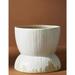 Anthropologie Other | Anthropologie Terra Garden Ceramic Pot Planter | Color: Cream/White | Size: Os