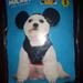 Disney Dog | Disney Small Dog Halloween Costume | Color: Red | Size: Os