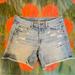 American Eagle Outfitters Shorts | American Eagle Cut Off Shorts Women's 32 W Distressed Blue Denim Sz 8. | Color: Blue | Size: 32