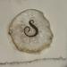 Anthropologie Dining | Anthropologie: “S” Initial Drink Coaster | Color: Gold/White | Size: Os