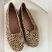 Madewell Shoes | Madewell Cory Women’s Cat Hair Animal Print Square Toe Flats Size 7.5 | Color: Black/Brown | Size: 7.5