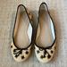 J. Crew Shoes | J. Crew Straw Embroidered Tan And Black Ballet Flats | Color: Black/Tan | Size: 6.5