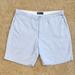 Polo By Ralph Lauren Shorts | Men's Polo Ralph Lauren Shorts Size 40 Light Blue Classic Casual Shorts | Color: Blue | Size: 40