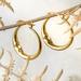 Anthropologie Jewelry | Anthropologie Luna Statement Earrings | Color: Gold | Size: Os