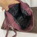 Rebecca Minkoff Bags | Bag | Color: Brown/Purple | Size: Os