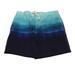 American Eagle Outfitters Swim | American Eagle Swim Trunks Board Shorts Men Large Blue Ombre 9" Inseam Beach | Color: Blue | Size: L