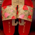 Coach Shoes | Coach | Uli Sport Slide In Signature Canvas With Wild Strawberry Print - Ci122 | Color: Red/Tan | Size: Various