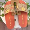 Coach Shoes | Coach Uli Sport Slide In Signature Canvas With Floral Print Ci123 | Color: Pink | Size: Various