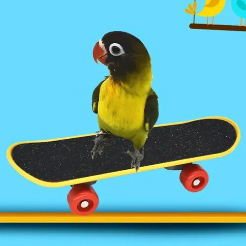 Papagei Intelligenz Spielzeug Mini Training Kunststoff Skateboard Für Wellensittiche Sittich