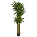 HomeStock Tuscan Temptations 6Ft. Corn Stalk Dracaena Artificial Plant (Real Touch)
