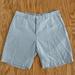 Polo By Ralph Lauren Shorts | Light Blue Polo Ralph Lauren Shorts: Classic Fit 9” | Color: Blue | Size: 34