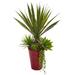 Spiky Agave & Succulent Artificial Plant in Red Planter