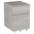 ZQRPCA Rolling Lock and Storage 2 Drawer Vertical Filing Cabinet 15.75 L x 17.75 W x 23 H Gray