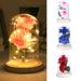 Riguas Artificial Rose LED Glass Bottle Lamp Night Light Home Decor Valentine Gift