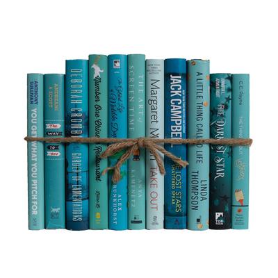 Books Blue Decorative Accessories: Gulf Breeze Dust Jacket ColorPak