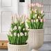 Blooming Tulip Urn Filler - Soft Pink - Grandin Road