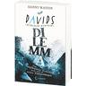 Davids Dilemma - Danny Wattin