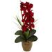 21" Red Phalaenopsis Orchid Silk Artificial Arrangement in Ceramic Vase