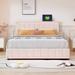 Queen Size Upholstered Storage Bed with LED Headboard & 4 Drawers, Modern Platform Bed Frame with a set of Sockets & USB, Beige
