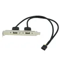 Staffa di espansione del pannello posteriore della scheda madre USB 2.0 nera a 2 porte per adattatore host cavo USB della scheda madre IDC 9 pin