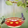 Mangiatoia per colibrì con 8 mangiatoia per uccelli da appendere formica e mangiatoia per colibrì a