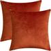 Set of 2 Comfortable Velvet Throw Pillow Cases Decorative Solid