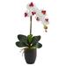 Nearly Natural 22.5in. Phalaenopsis Orchid Artificial Arrangement in Ceramic Black Vase White