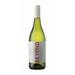 Beyond Sauvignon Blanc 2021 White Wine - South Africa