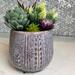 Admired by Nature 4.5" Ceramic Flower Planter, Ceramic Pot Planter, Plant Home Décor, Lavender Ceramic in Indigo | 4.5 H x 4.5 W x 4.25 D in | Wayfair