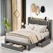 Latitude Run® Ileano Platform Bed w/ Storage Headboard & Charging Station, Three Drawers Upholstered/Velvet in Gray | Wayfair