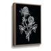 Gracie Oaks Clover Sketch II On Canvas by House Fenway Print Metal in Black | 32 H x 48 W x 2 D in | Wayfair 891CF99543C645A6A2F3B8E3C6486814