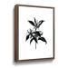 Winston Porter Inked Blossoms II On Canvas by House Fenway Print Canvas, Glass in White | 8 H x 10 W x 2 D in | Wayfair