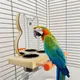 Haustier Vogel Spiegel mit Feeder Schüssel Papagei Käfig Spielzeug mit Spiegel für Ara African Greys