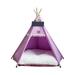 Pet Teepee Tents Portable Indoor Dog Teepee Pet Teepee with Thick Cushion Cat Teepee Dog Tent Bed Dog Cat House Indoor for Dogs and Cats Washable Teepee Tent House for Puppy 40*40*50cm