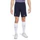 Nike Herren Shorts Thfc M Nk Df Stad Short Aw, Marine/Hologram, DX2718-459, 2XL