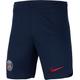 Nike Unisex Kinder Shorts PSG Y Nk Df Stad Short Ha, Midnight Navy/University Red, DX2789-410, S