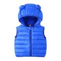 Toddler Kids Puff Down Vests Baby Boys Girls Sleeveless Hooded Coat Winter Cute Solid Color Windproof Padded Waistcoat Jacket Hooded Coat Blue 1 Year