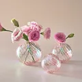 Vases boule irisés pour la décoration intérieure pot de fleur en verre plantes brittop salon