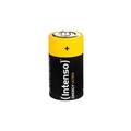 Intenso 7501432 pile domestique Batterie à usage unique C Alcaline