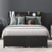 Trent Austin Design® Petit Vegan Leather Storage Bed w/ 2 Drawers Upholstered/Metal & Upholstered/Metal/Faux leather in Black | Wayfair