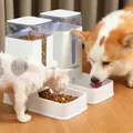Mangiatoia automatica per cani distributore di acqua per gatti ciotola per cani bacino per gatti